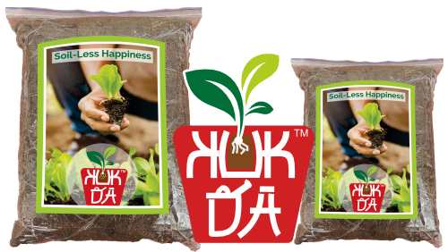 two packet of kuk DA